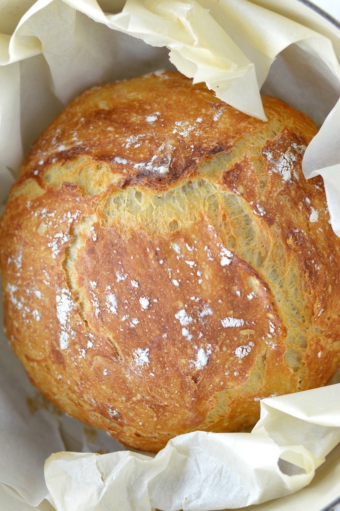 Cheaters No Knead Dutch Oven Sourdough Bread. - Half Baked Harvest