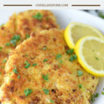 Chicken Schnitzel Recipe - A Quick & Easy Weeknight Meal - Chisel & Fork