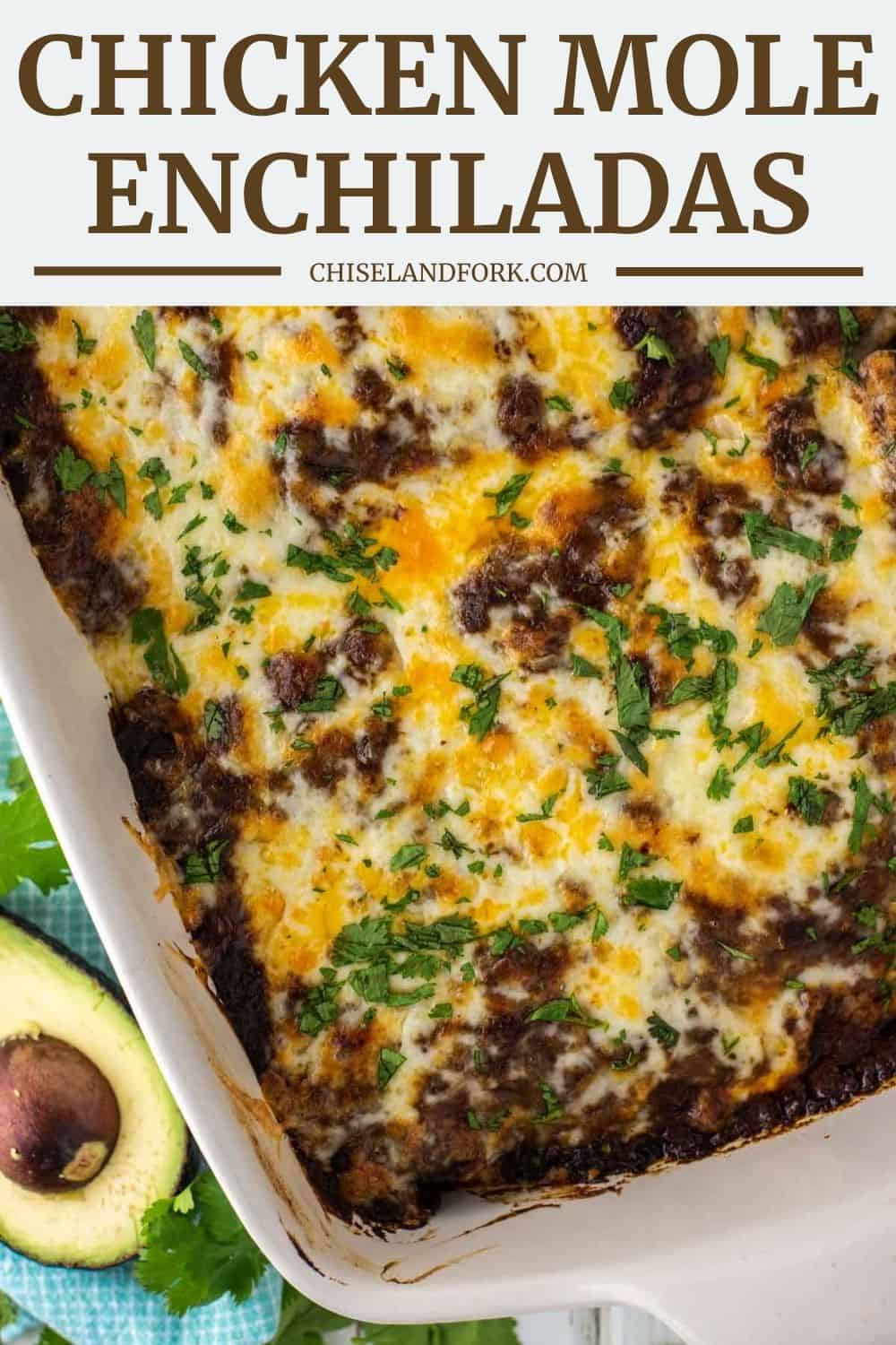 Chicken Mole Enchiladas Recipe - A Tasty Family Dinner - Chisel & Fork