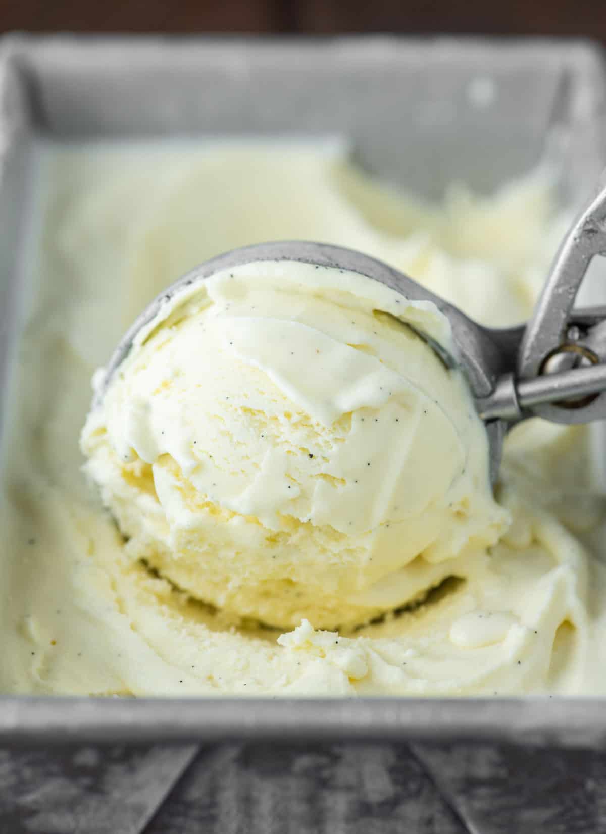 Vanilla Bean Ice Cream Recipe - Chisel & Fork