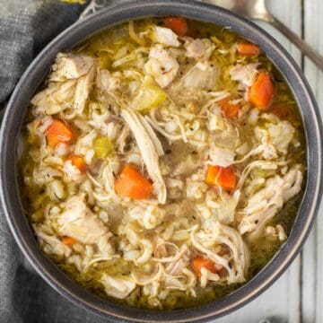 Instant Pot Chicken and Rice Soup - Chisel & Fork